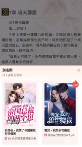 暖暖小说直装版图3