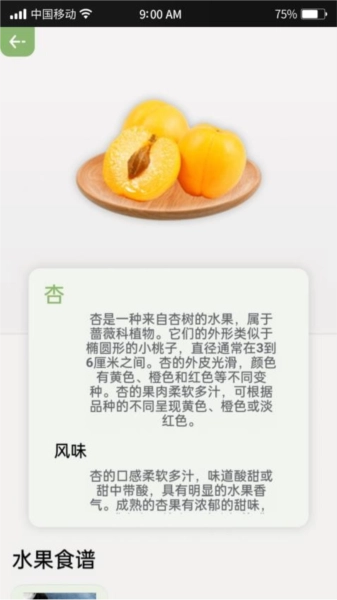 指尖果园正版图2