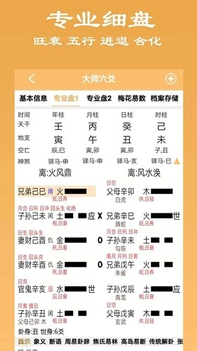 大师六爻软件无广告版图1