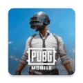 PUBG Mobile亚服安卓官方版