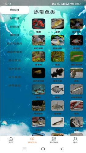 悠然鱼语安卓版截图1