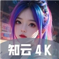 知云4k