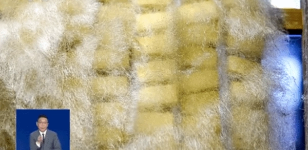 自制霉豆腐走红网络！央视发出警示：切勿轻易尝试，可能滋生致病杂菌