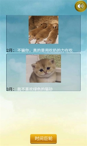 猫的一生重启模拟器手游版