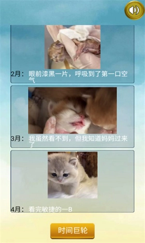 猫的一生重启模拟器手游版