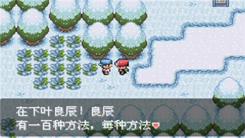 口袋妖怪最强进化随机版图5