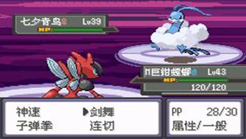 口袋妖怪冠军的旅程(3)