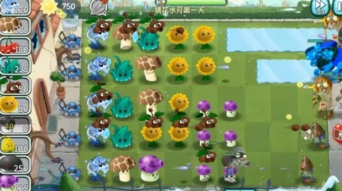 植物大战僵尸旅行版(2)