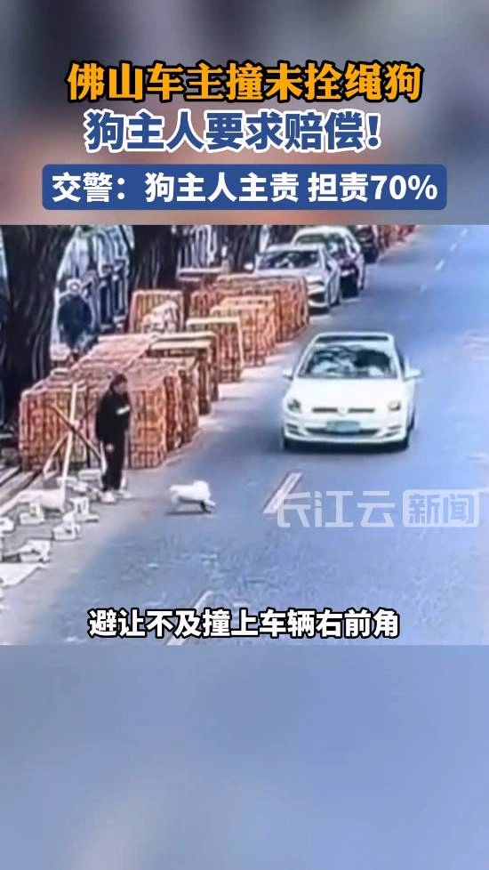 司机因撞倒突然窜出的未拴绳狗被索赔，法院判其承担次要责任，网友热议：这判决冤不冤？