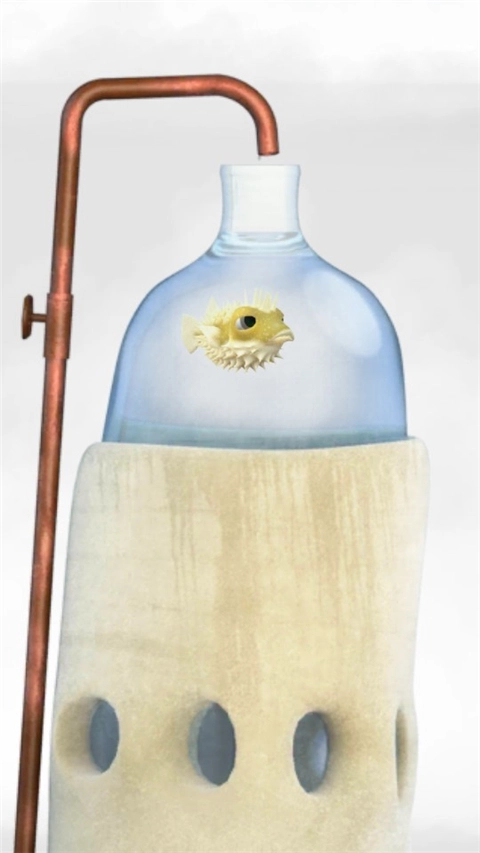 行走的老鲸鱼中文版2