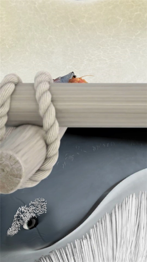 行走的老鲸鱼中文版3