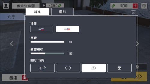 游戏设置界面示意图