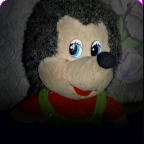 刺猬的五夜后宫无广告版