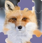 拖一拖拼图手机版