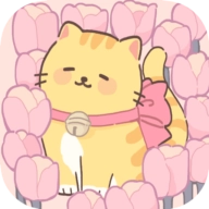 我的猫系男友直装版