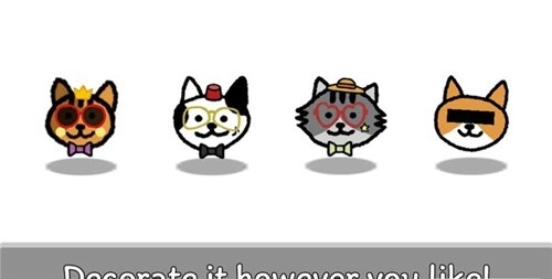 猫咪真的很爆爆1