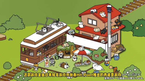 猫咪后院2正版1