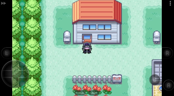 口袋妖怪火红萌娘版(1)