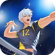 排球故事国际服安卓直装版