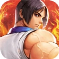 格斗拳魂游戏无广告版