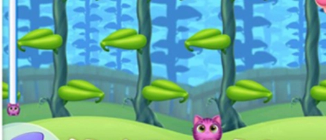 我要养猫手机免费版图4