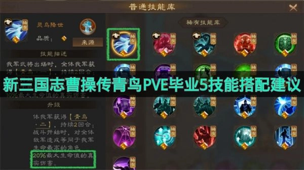 《新三国志曹操传》青鸟PVE满配5技能组合推荐