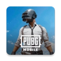 pubgmobile最新版