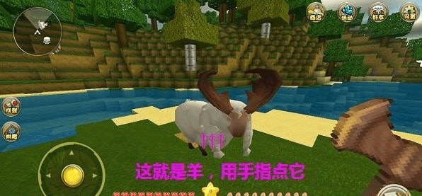 使用羊毛木板合成睡床
