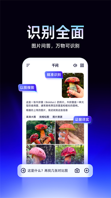 千问免费版截图1