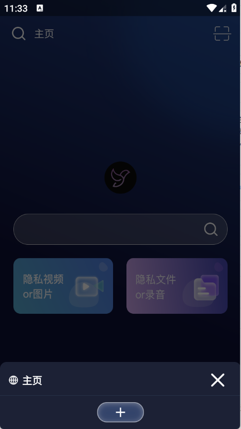 隐私浏览器截图1