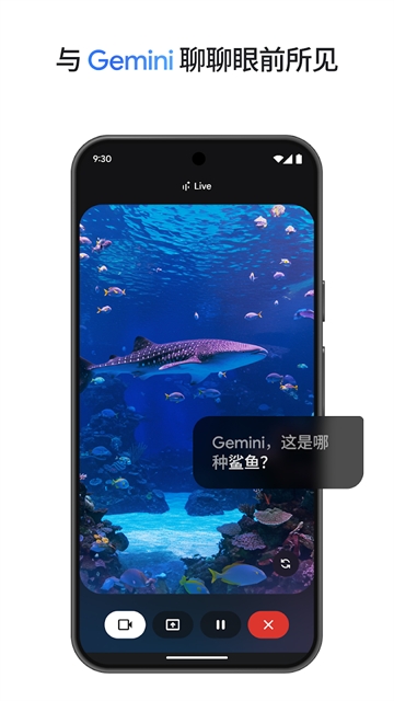 gemini安卓版截图3