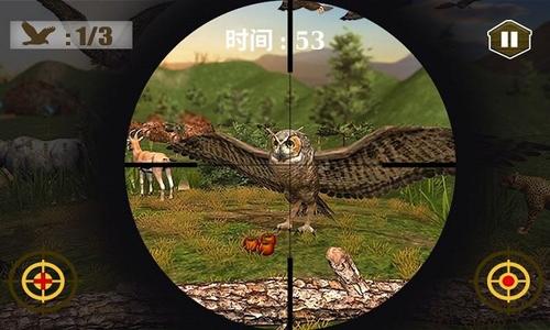 3d猫头鹰狩猎模拟1