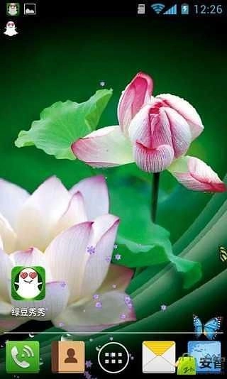 并蒂莲直装版图4