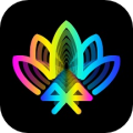 宝莲灯pro