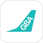 大湾区航空手机正版