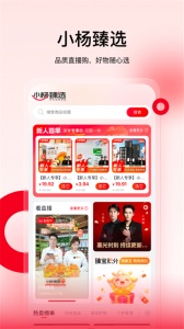 小杨臻选4