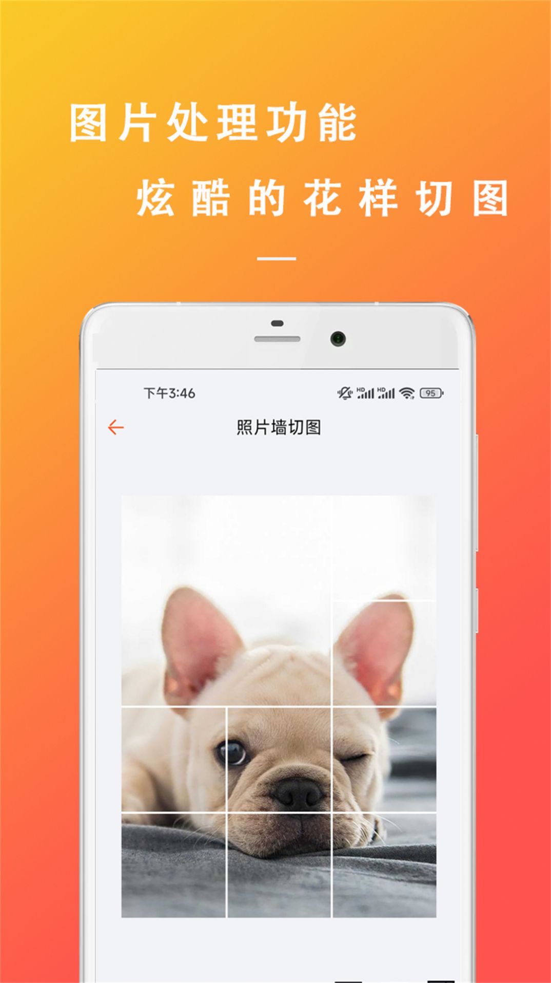 万能枝条文案控1