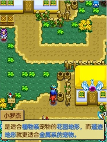 宠物王国4白金游戏2