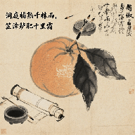橘多多词库