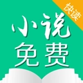 小说快读
