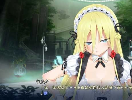 美少女万华镜3直装版(4)