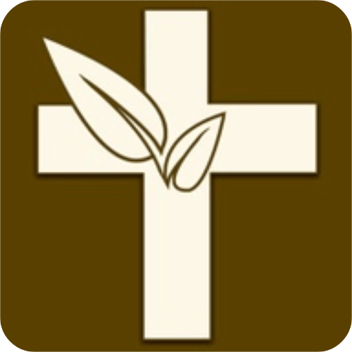 伴读圣经手机最新版