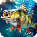 欢乐钓鱼大师模组游戏纯净版