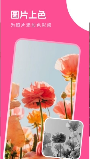 萌喵相机免费版图3