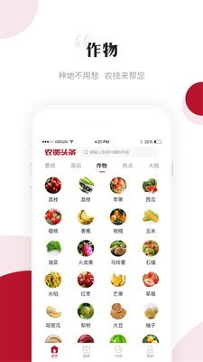 农资头条3