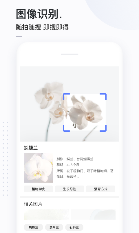 简单搜索截图2