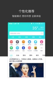 绿叶浏览器1