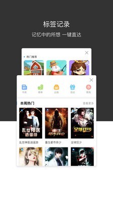 绿叶浏览器2