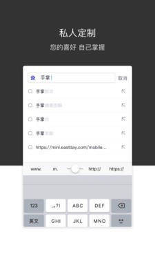 绿叶浏览器3