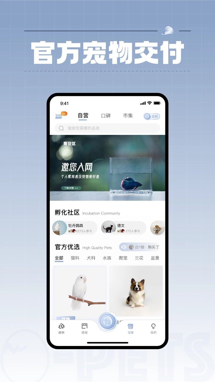 集宠区1